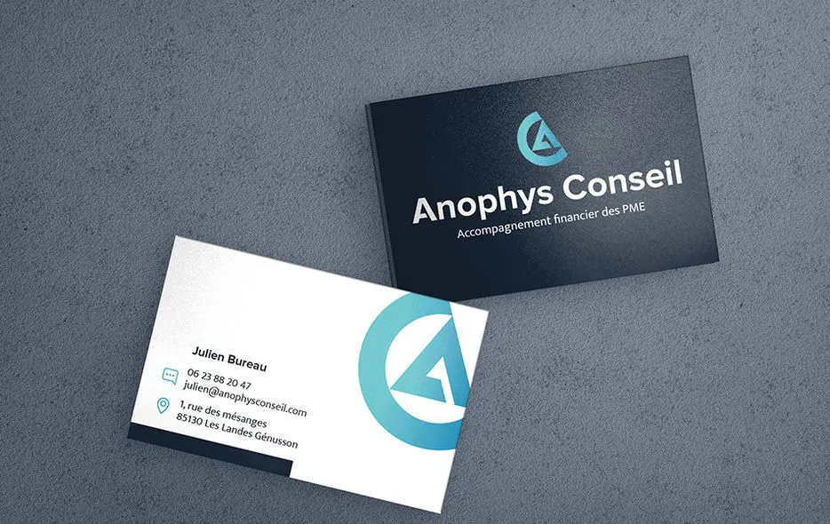 Cartes de visite Anophys Conseil, recto bleu nuit et verso blanc