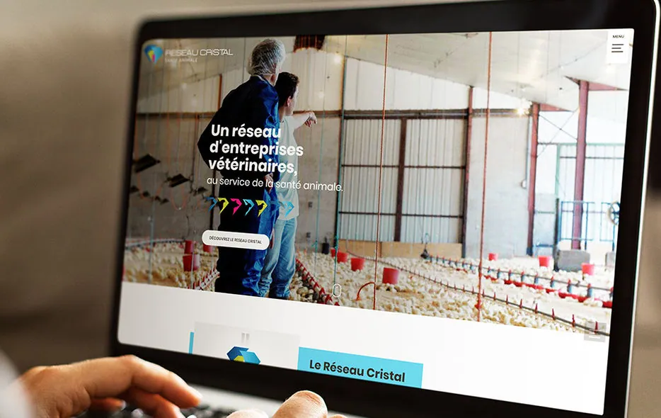 Site du Réseau Cristal, réseau d'entreprises vétérinaires, sur ordinateur portable
