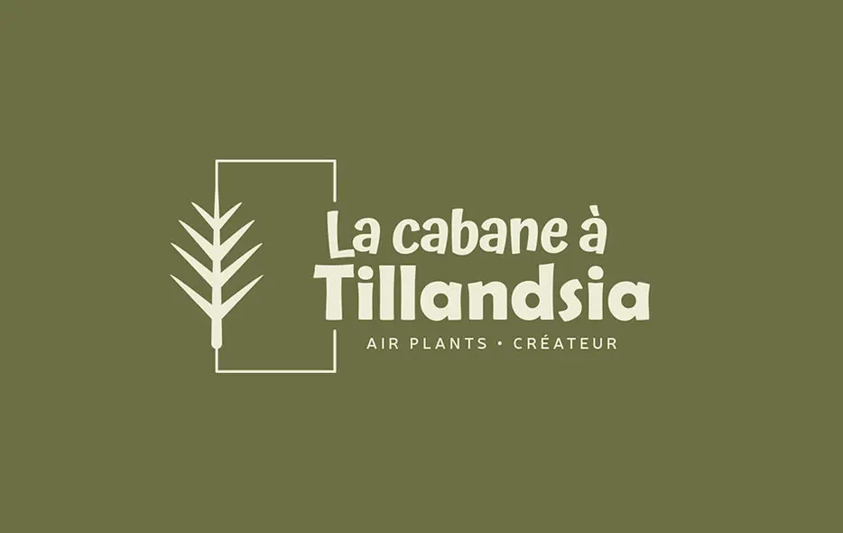 Aperçu du projet Logo La cabane à Tillandsia — activité identité visuelle