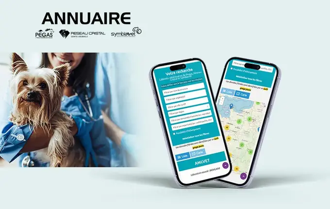 Annuaire étudiant Polynys affiché sur smartphone, avec recherche et carte des structures