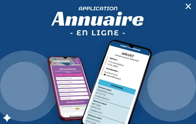 Application annuaire web privée de Polynys affichée sur deux smartphones