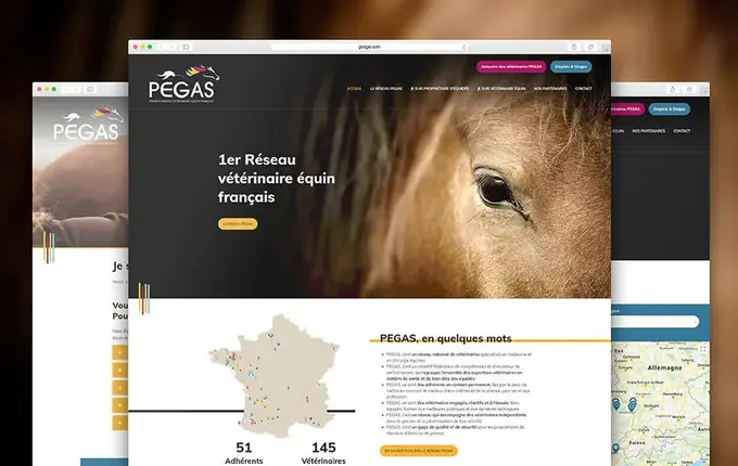 Site du Réseau PEGAS, premier réseau vétérinaire équin français, avec la carte des adhérents