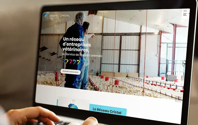 Site du Réseau Cristal, réseau d'entreprises vétérinaires, sur ordinateur portable